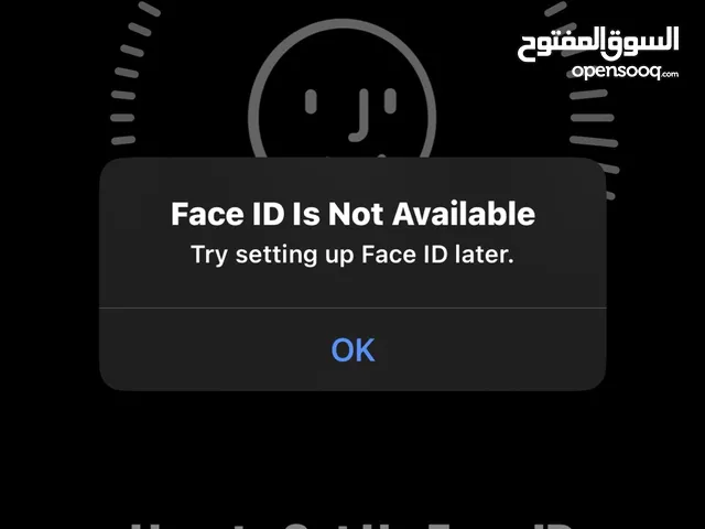 Apple iPhone X 256 GB in Amman