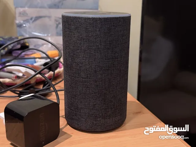 Alexa speaker