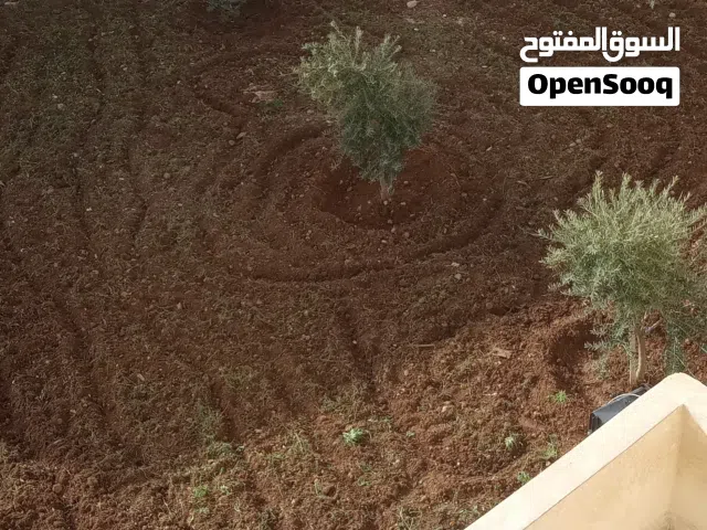 خدمت تنسيق الحدائق