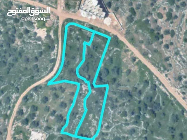 قطعة ارض للبيع في بديا محافظة سلفيت