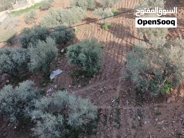 Residential Land for Sale in Salt Ein Al-Basha