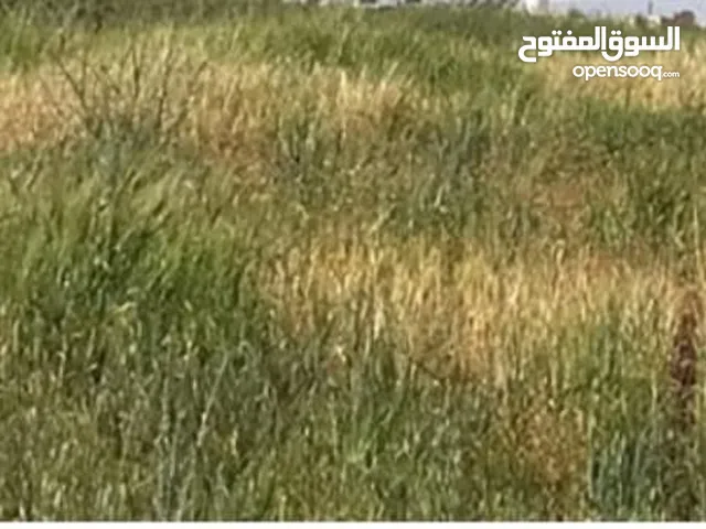 Residential Land for Sale in Amman Khirbet Sooq