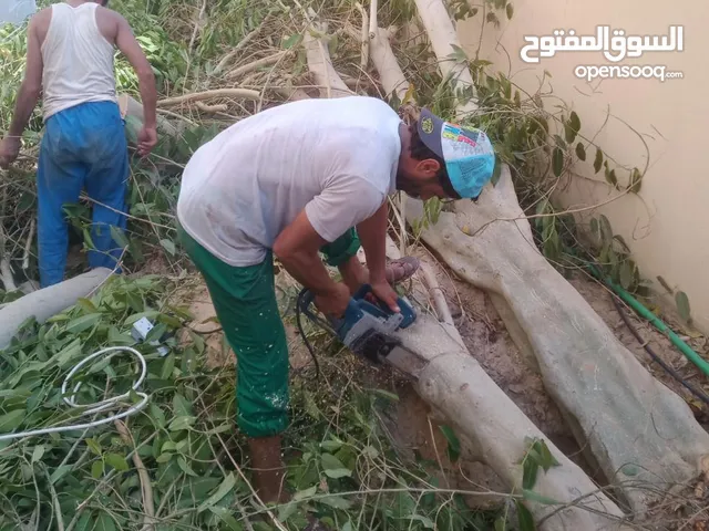 TREE CUTTING AND SITE CLEARANCE
