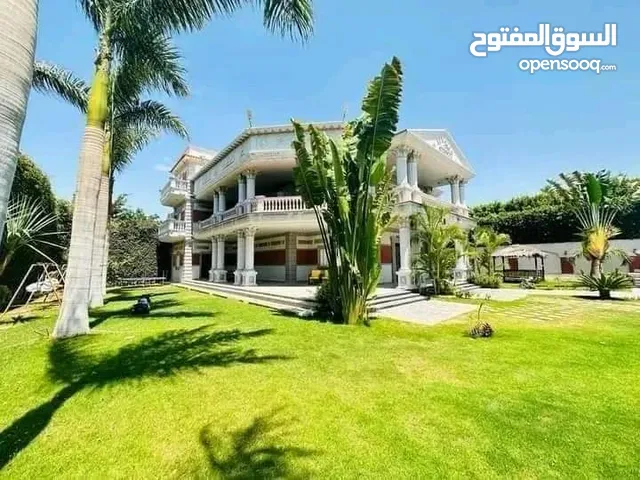 500 m2 More than 6 bedrooms Villa for Sale in Alexandria Amreya