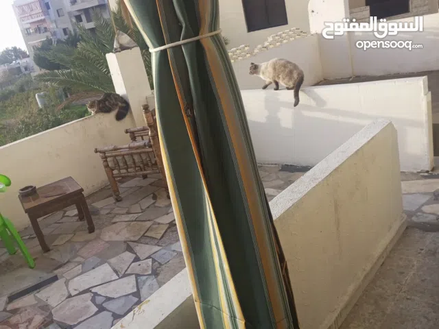 90 m2 2 Bedrooms Apartments for Sale in Sidon Other