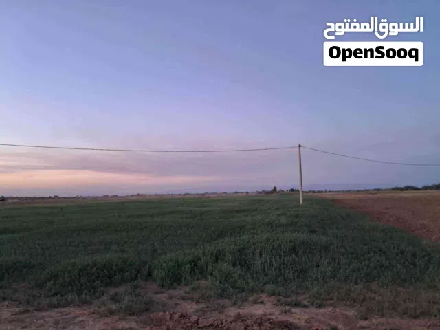 Farm Land for Sale in Msila Other