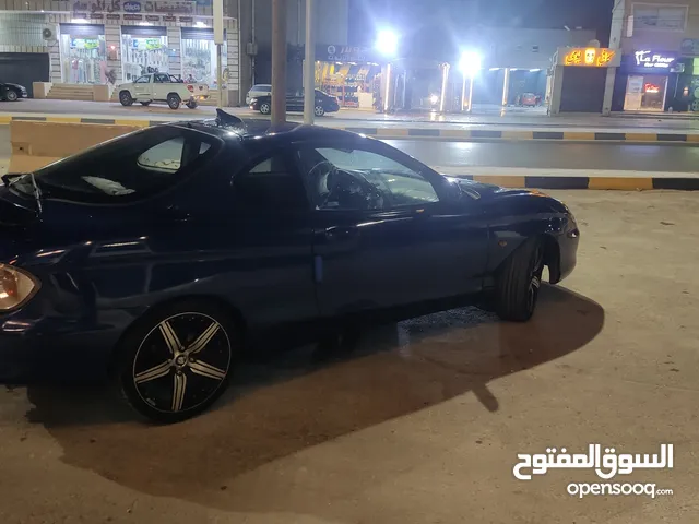هونداية وطواط