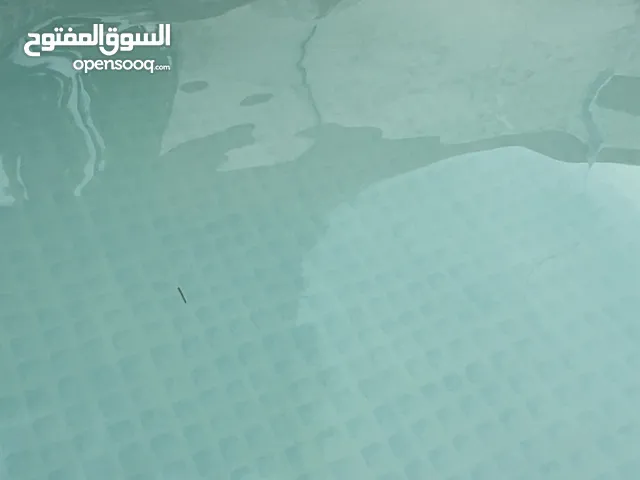بط للبيع البكيني