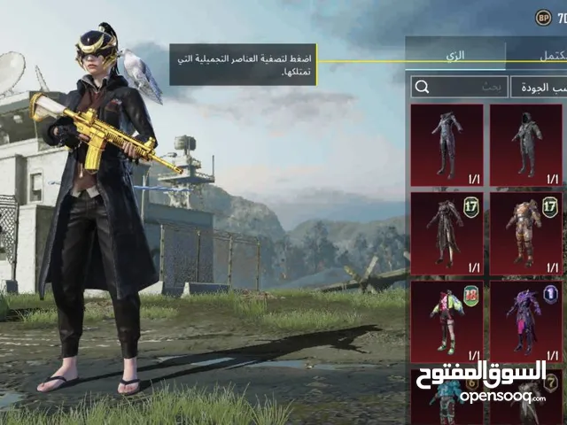 Pubg Accounts and Characters for Sale in Tobruk