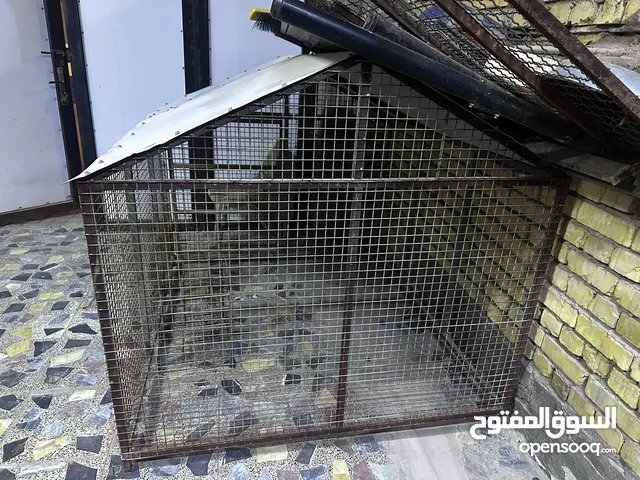 قفص طيور للبيع