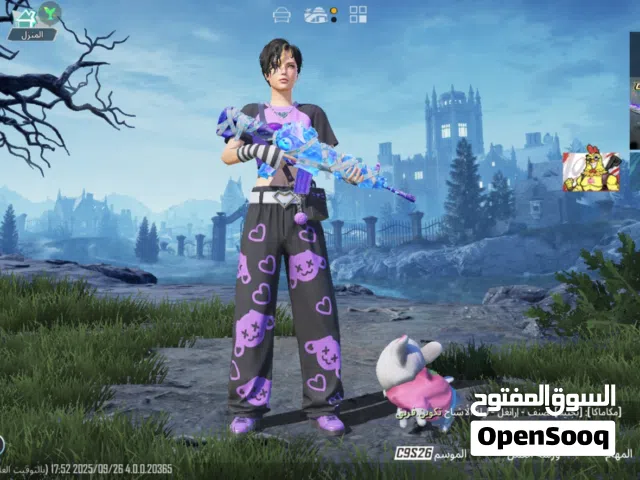 Pubg Accounts and Characters for Sale in Amman