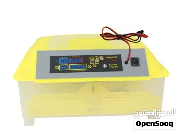 مطلوب نفس هذي الفقاسة