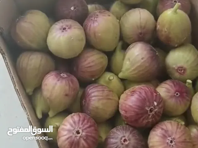 تين تركي فريش