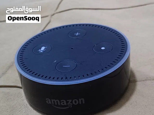 الكسا ايكو دوت