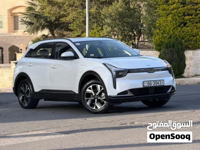 2023, Neta, U, Pro 400