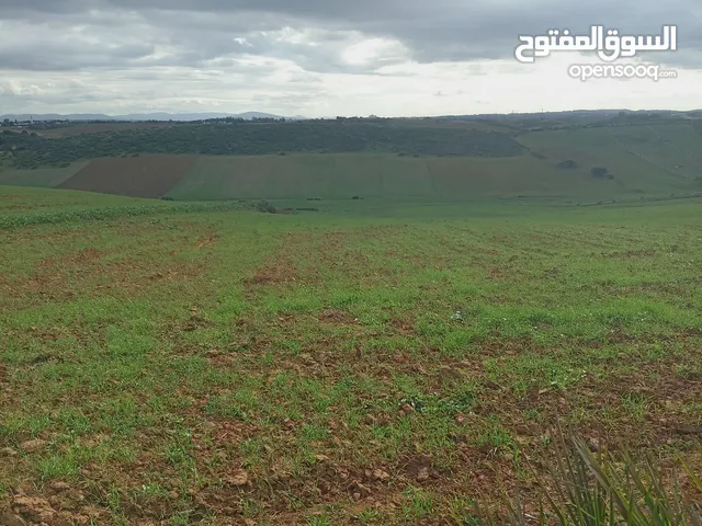 Farm Land for Sale in Tanger Other