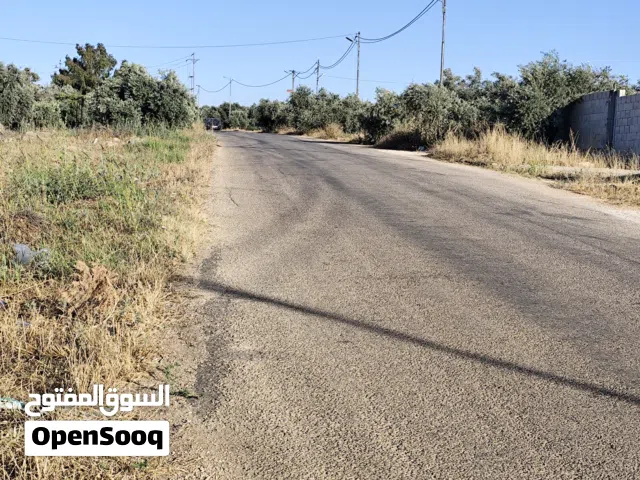 Farm Land for Sale in Irbid Samar