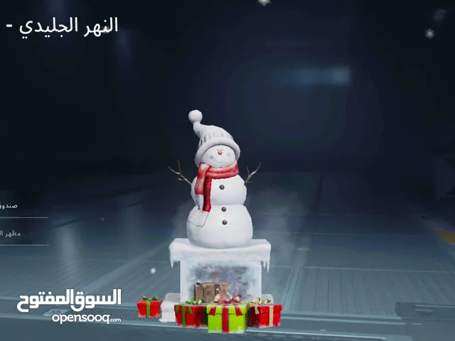 Pubg Accounts and Characters for Sale in Amman