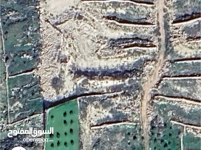 للمعني بارض للاسثمار بناء زراعة