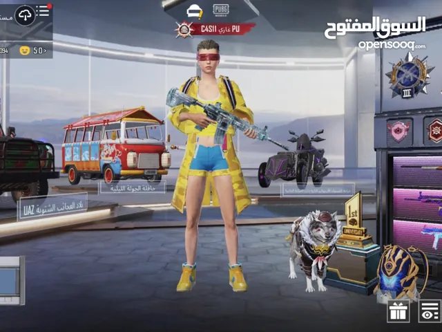 Pubg Accounts and Characters for Sale in Aden