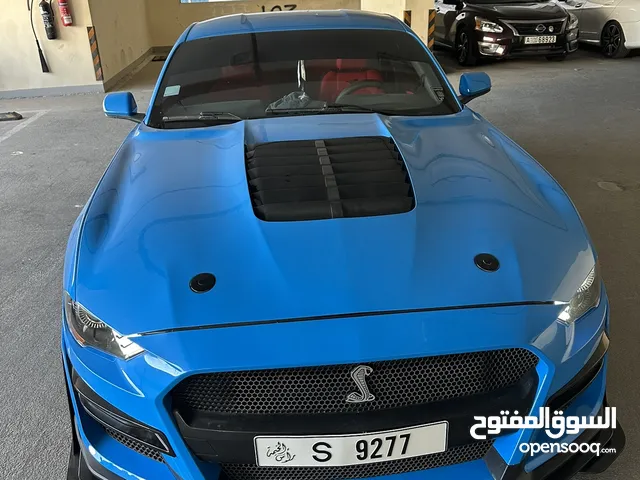 Ford Mustang Modified Shelby GT500KR
