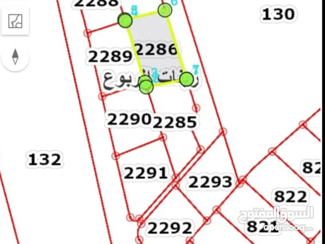 Residential Land for Sale in Amman Zinat Al-Rubue