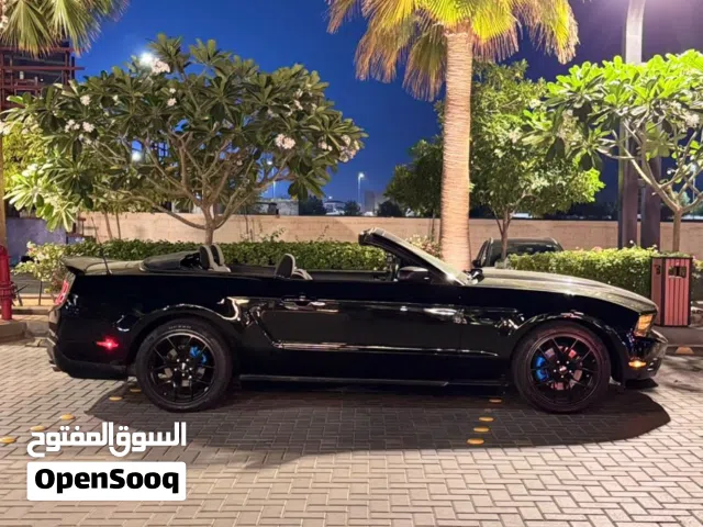 موستينق كشف