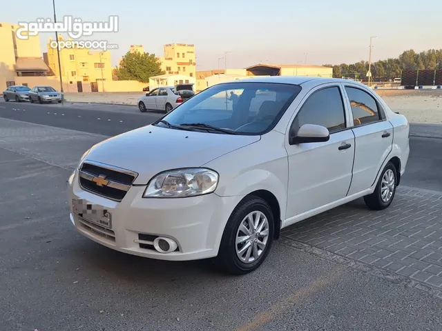 شفر إفيو 2016