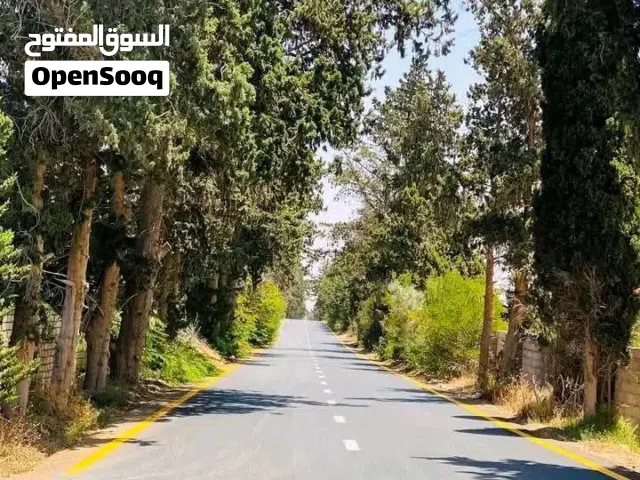 ارض للبيع الطويبية