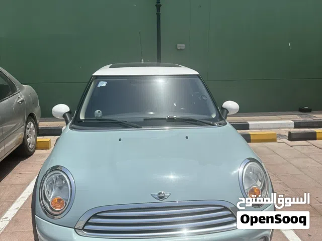 2013 ميني اخرى