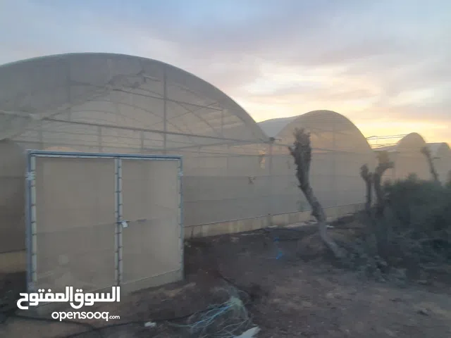 More than 6 bedrooms Chalet for Rent in Sharjah Al Batayih