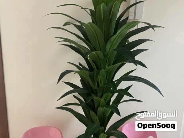 2 Beautiful Faux plants