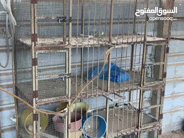 للبيع 4 خانات تفريخ 1 خانة تعليق