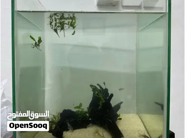 aquarium 25omr for sale