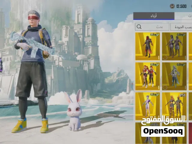 Pubg Accounts and Characters for Sale in Zarqa