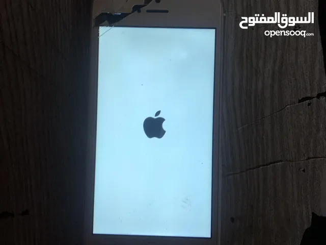 Apple iPhone 5 16 GB in Muscat