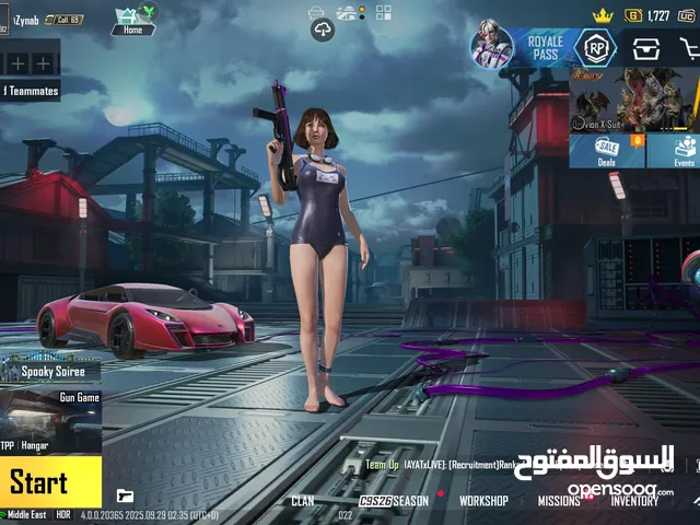 Pubg Accounts and Characters for Sale in Northern Governorate