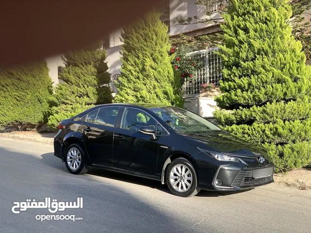 Used Toyota Corolla in Amman