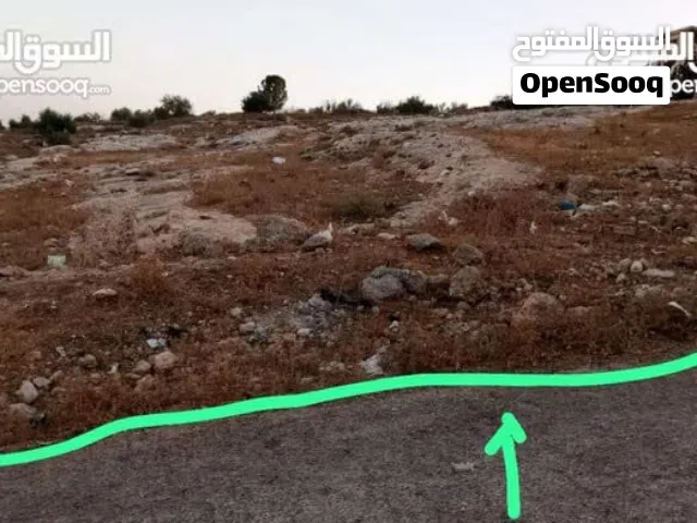 Farm Land for Sale in Irbid Kufr Jayez