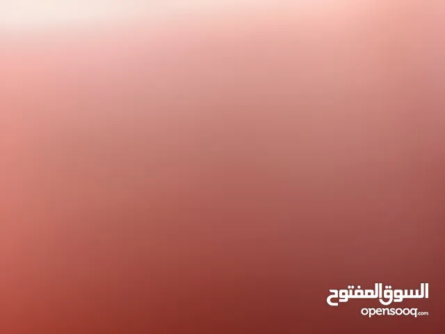 معي قعود مزاين حق السنه قعود عالمي ضغط عالي لي يبا الناموس مرحبا فيه