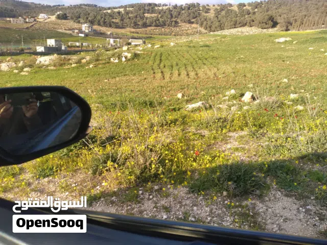 Farm Land for Sale in Jerash Other
