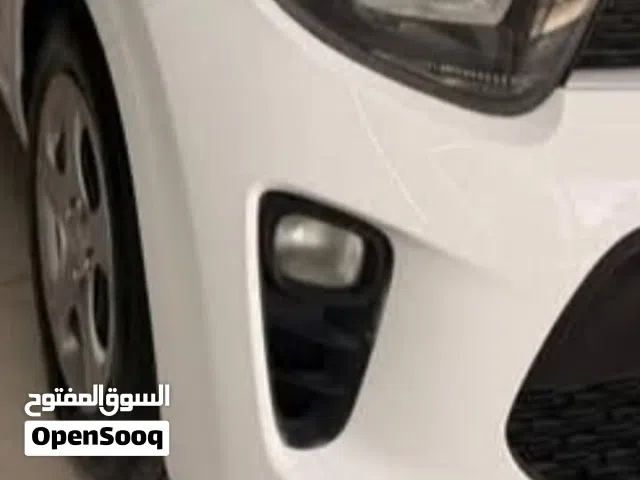 كشفات بيكانتو 2018