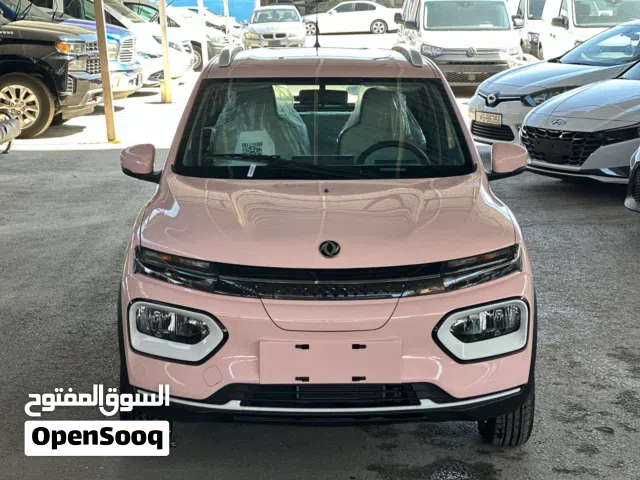 2023 دونج فينج EX1