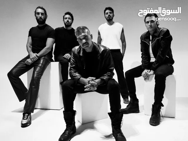 Cairokee Live: The Heartbeat of Egyptian Rock