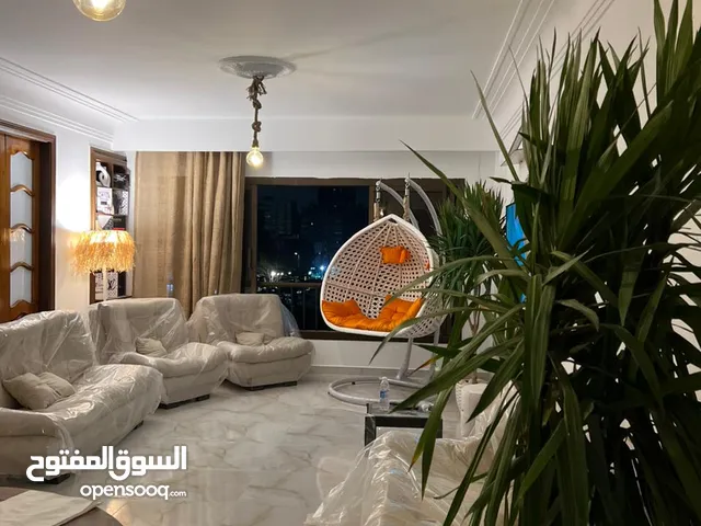 Furnished Daily in Cairo Nasr City