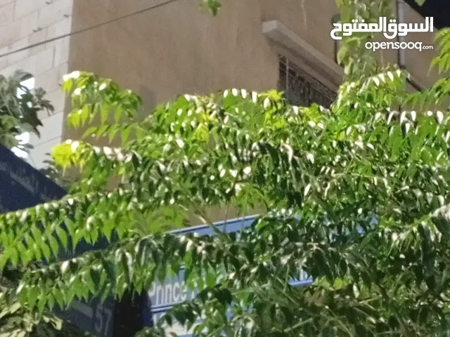 111111 m2 4 Bedrooms Apartments for Rent in Zarqa Awajan