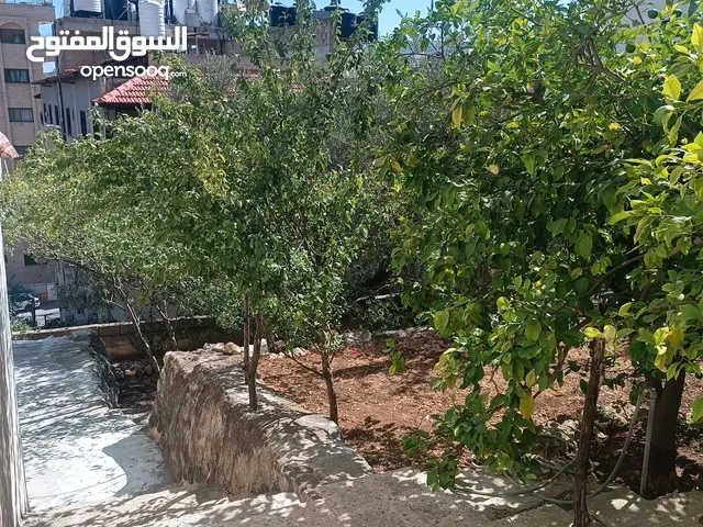شقة صغيرة مستقلة للطالبات