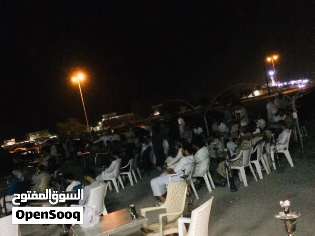 للبيع او الاستثمار مقهى شيشة بولاية شناص ..