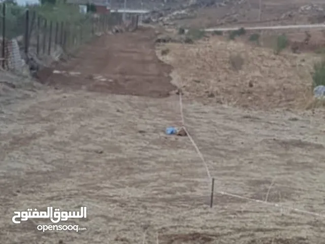قطعة ارض 2 دونم بالباذان