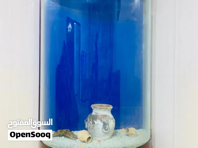 حوض سمك نص دائري للبيع